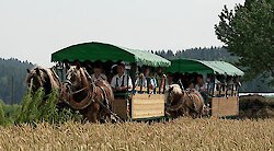 Jahrgangsfahrt zum Hotel Beinbauer